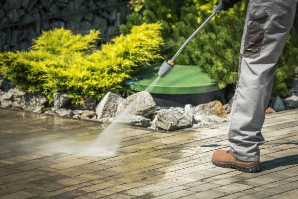 Best Playground Equipment Cleaning  in Paisley, FL