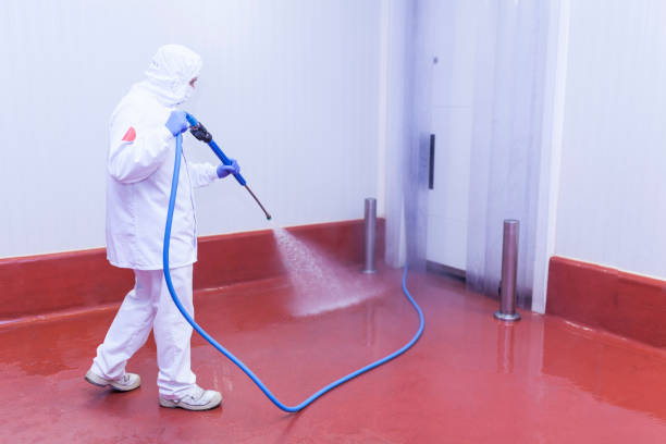 Best Rust Removal  in Paisley, FL